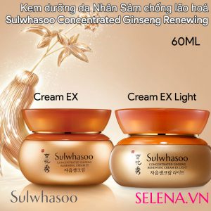 Kem chống lão hoá chiết xuất từ Nhân Sâm Cao cấp Sulwhasoo Concentrated Ginseng Renewing Cream